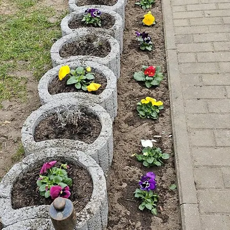 بيت ضيافة Elbe